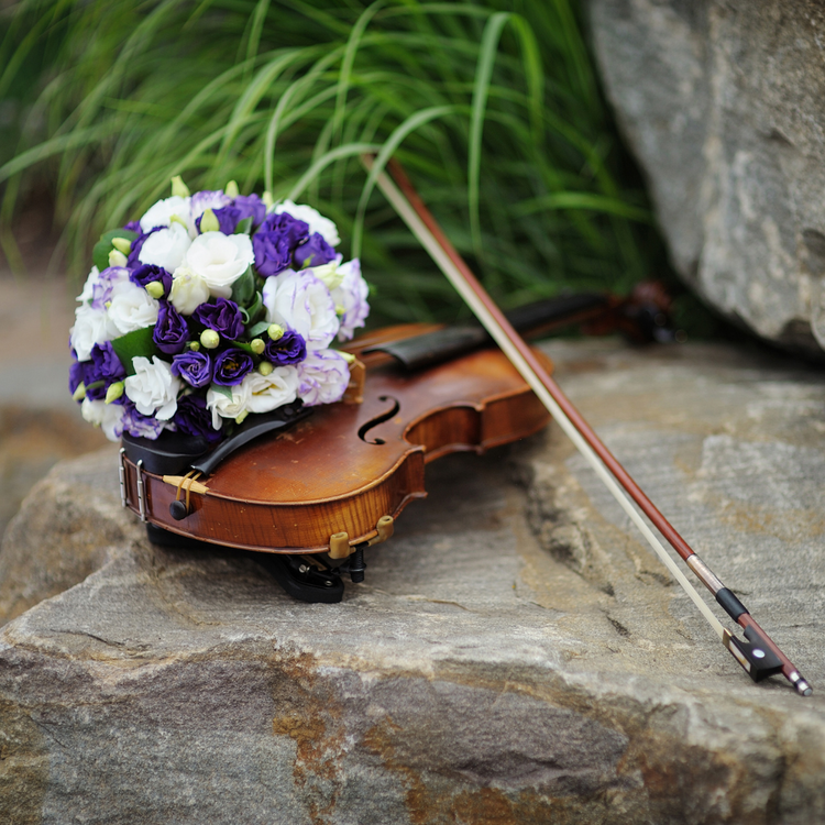 Orchestra Instruments & Accessories