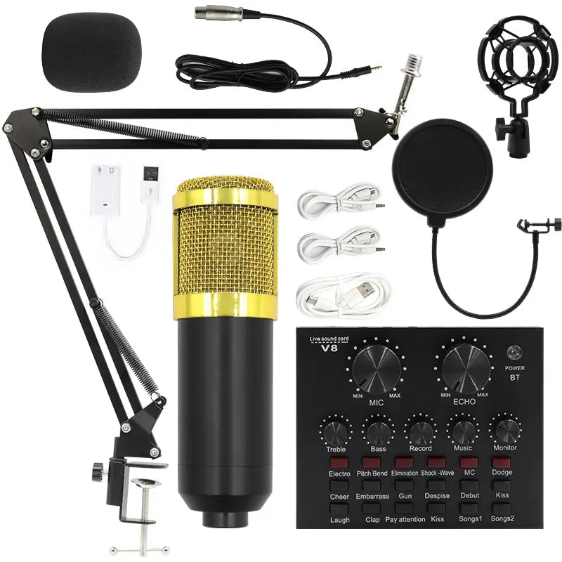 BM-800 Condenser Microphone – Studio Mic for Karaoke, Gaming & Recording
