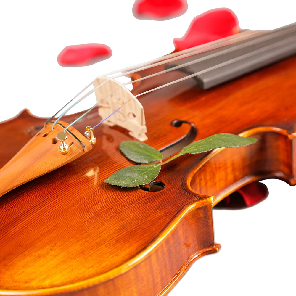 TONGLING 4/4 Professional Violin – Handcrafted Maple with Case