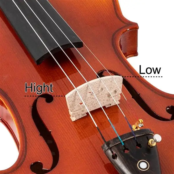 4/4 Spruce Violin – Natural Wood with Rectangular Case & Octagonal Bow