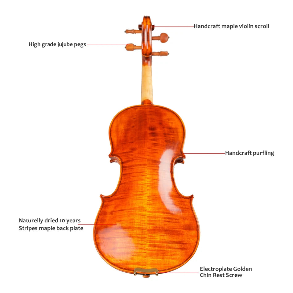 TONGLING 4/4 Professional Violin – Handcrafted Maple with Case