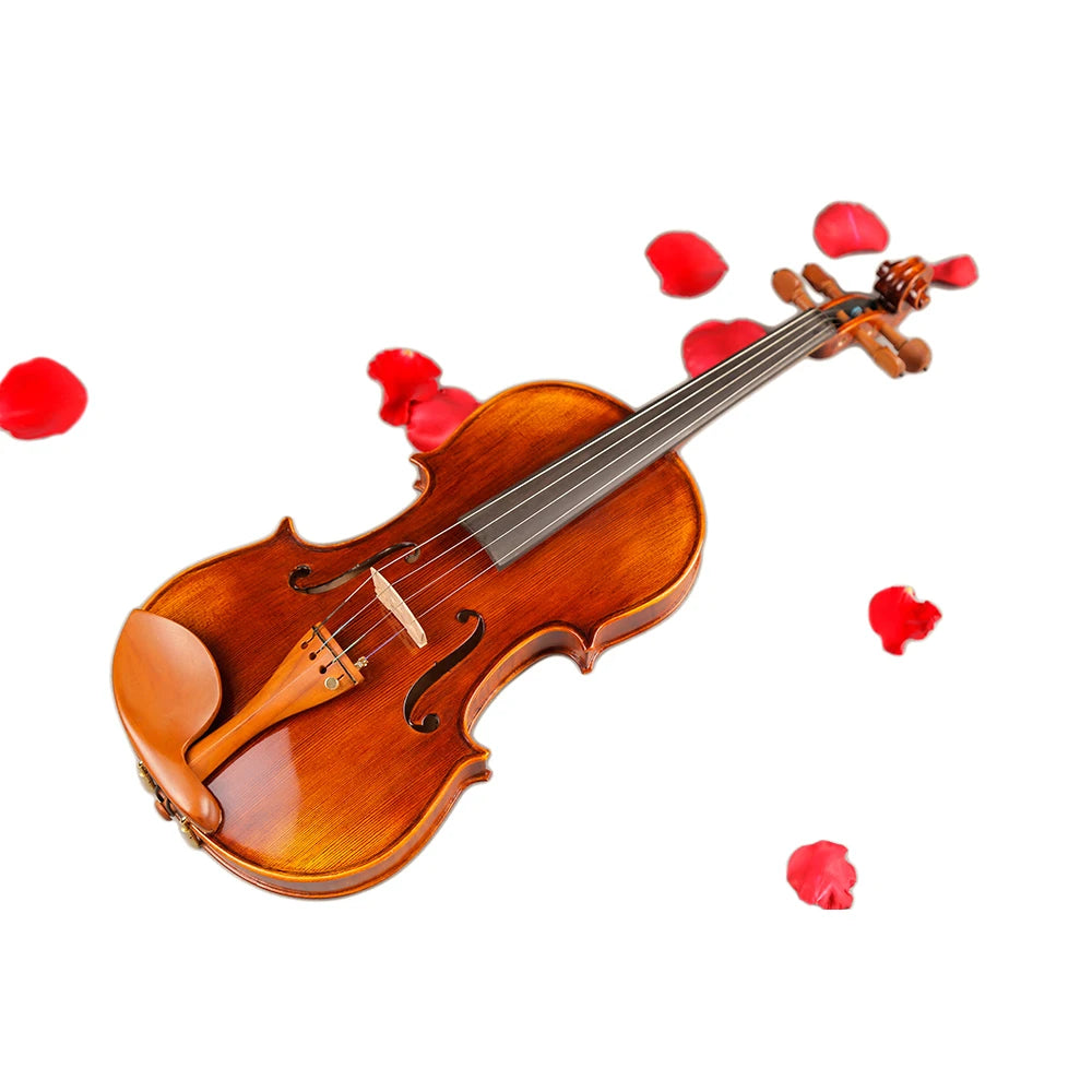 TONGLING 4/4 Professional Violin – Handcrafted Maple with Case