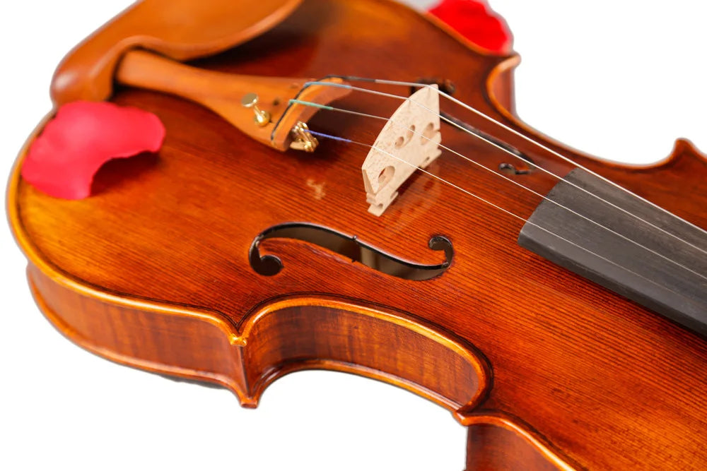 TONGLING 4/4 Professional Violin – Handcrafted Maple with Case